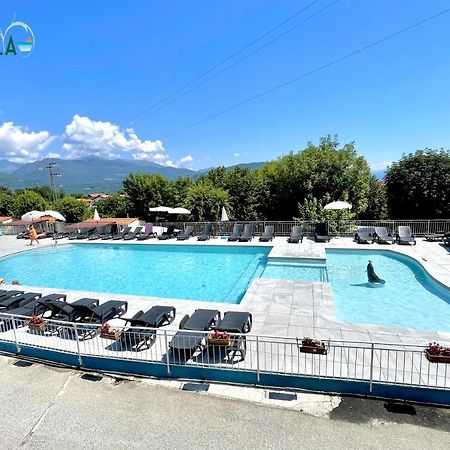 Campeggio Tranquilla Baveno Dış mekan fotoğraf